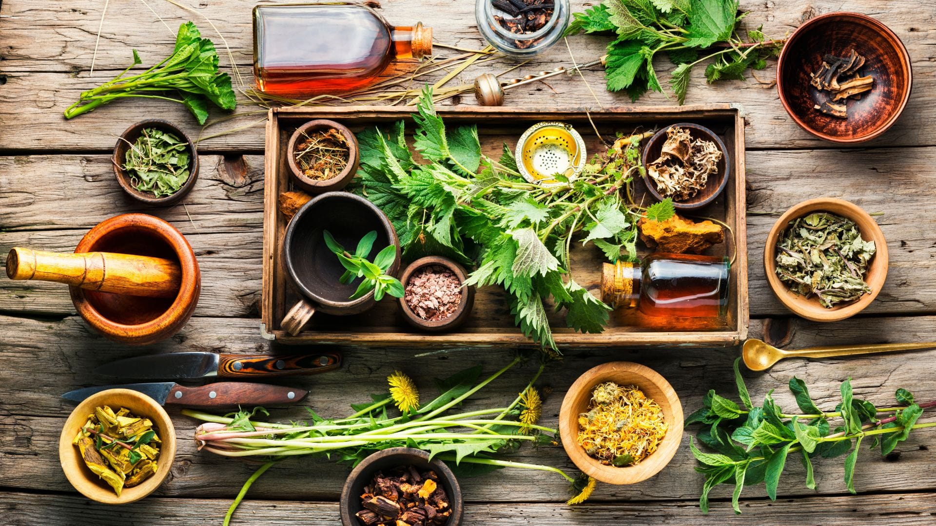 Naturopath table - organic, natural remedies for holistic treatment