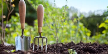 Two garden tools resting in the dirt, surrounded by soil, ready for planting or gardening tasks.