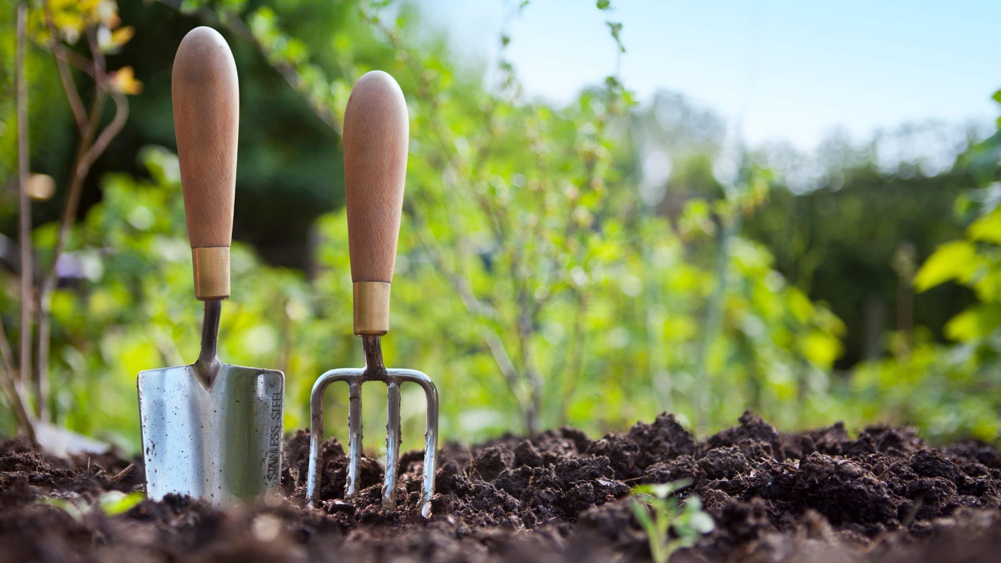 Two garden tools resting in the dirt, surrounded by soil, ready for planting or gardening tasks.