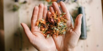Hands gently holding a variety of dried herbs and flowers, showcasing their textures and colors to be used as in naturopathic treatment