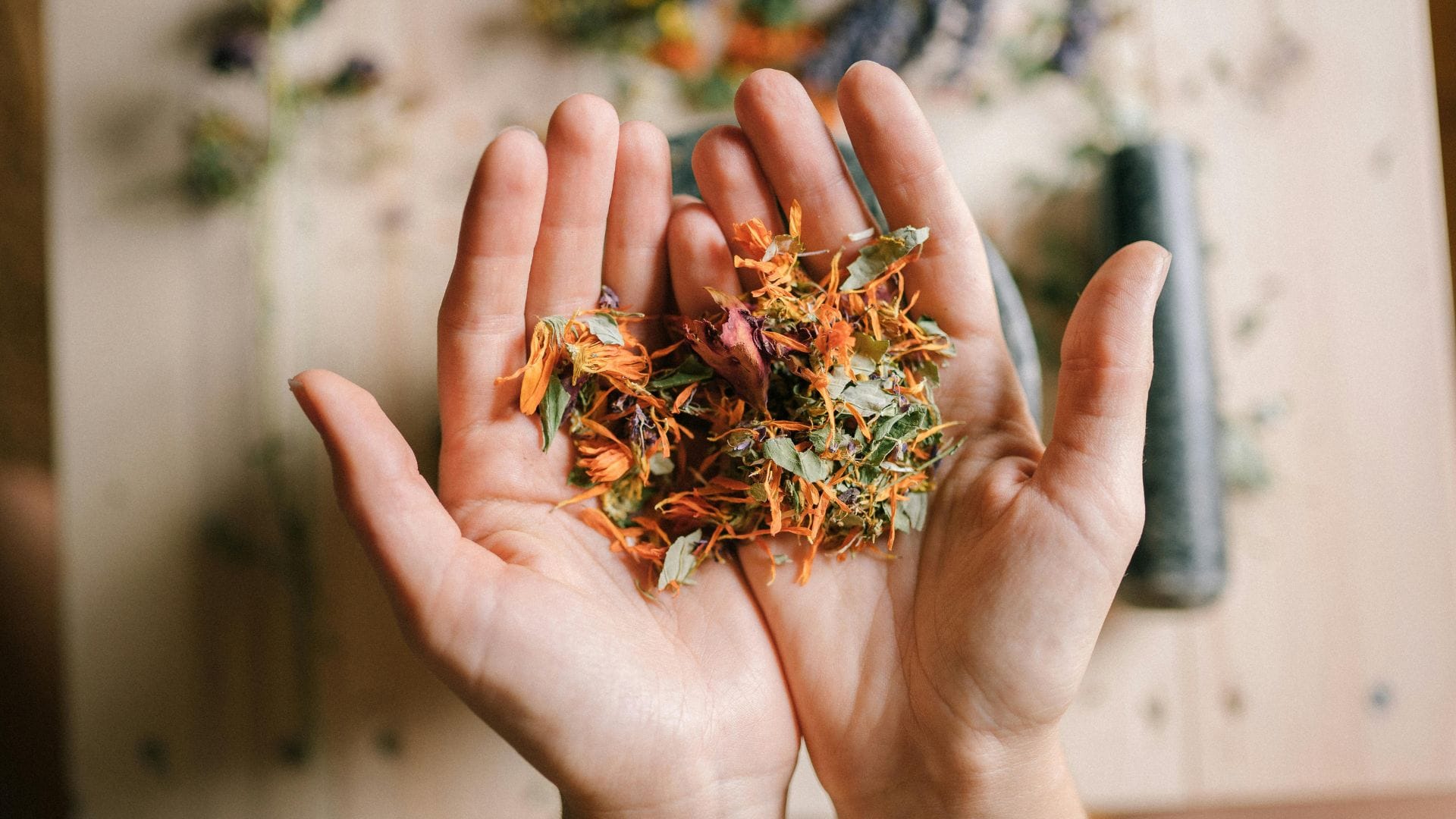 Hands gently holding a variety of dried herbs and flowers, showcasing their textures and colors to be used as in naturopathic treatment