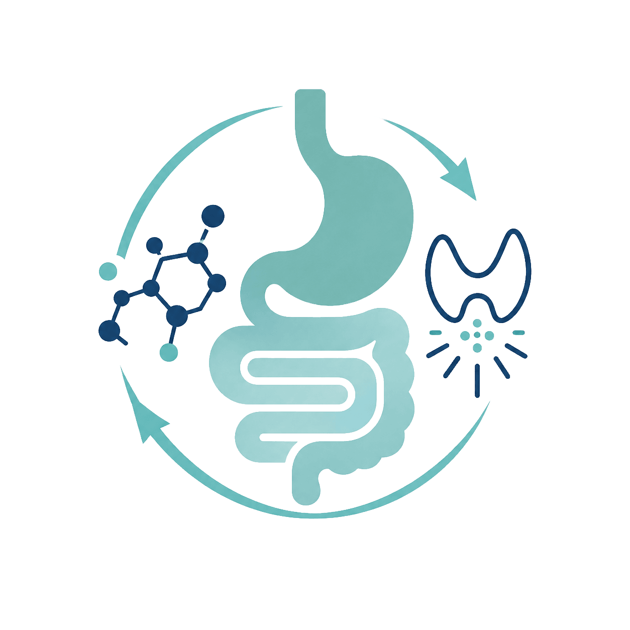 Digestive, Hormonal & Metabolic Health