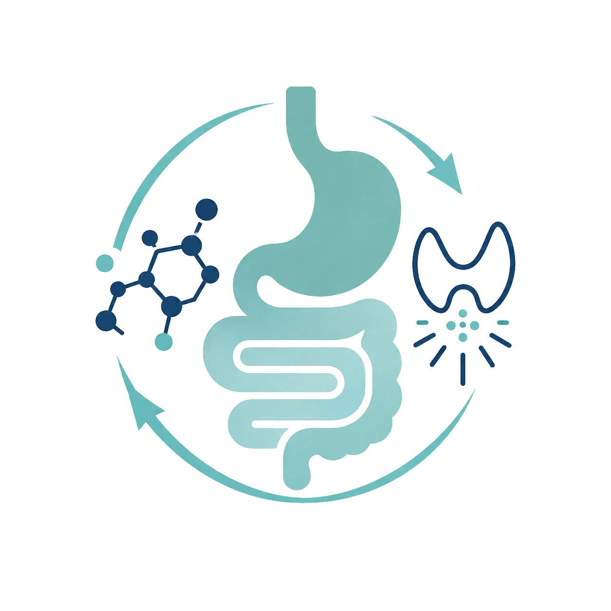 Digestive, Hormonal & Metabolic Health