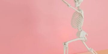Protecting Your Bones During Menopause: A Physio & Chiro Guide
